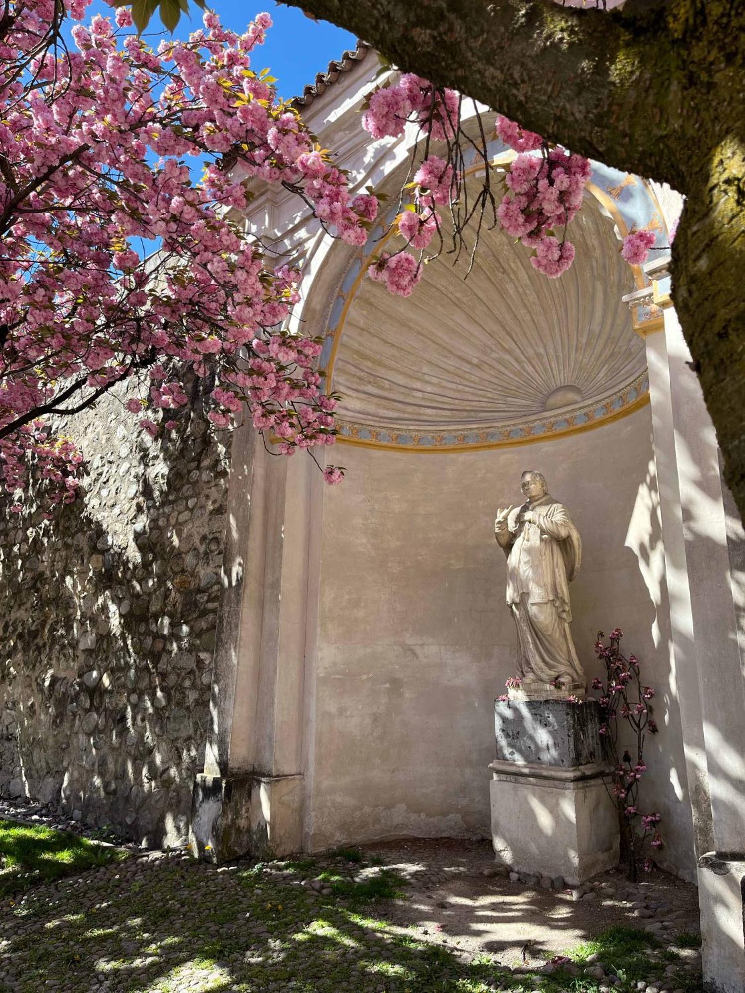 Garden Apartment Untermuehle Bressanone Dış mekan fotoğraf
