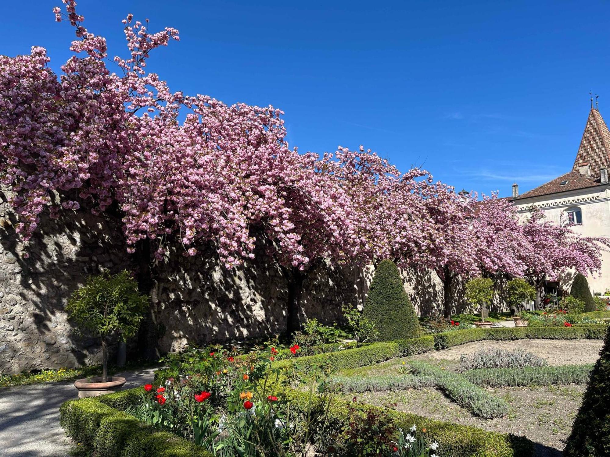 Garden Apartment Untermuehle Bressanone Dış mekan fotoğraf